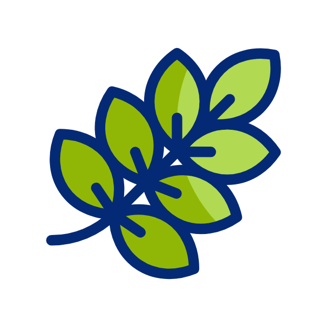 🌿 NaturaVeda Kya Hai?